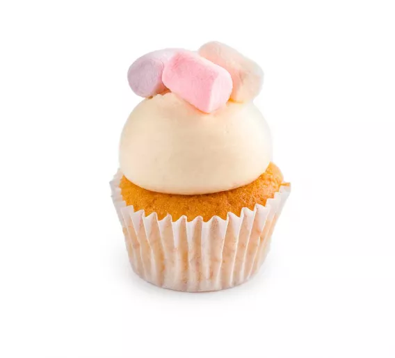 Toasted  Marshmallow Mini cupcake